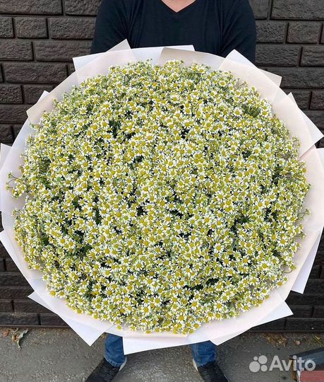 Ромашки Букет из ромашек доставка