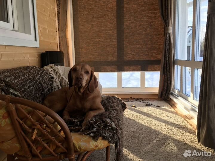 Жалюзи на окна