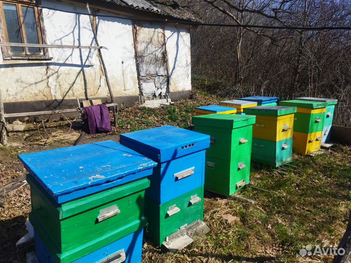 Улей для пчел бу