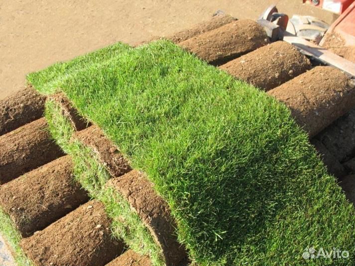 Рулонный газон, Опт/розница