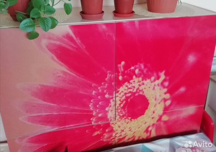 Набор корпусной мебели лайф 