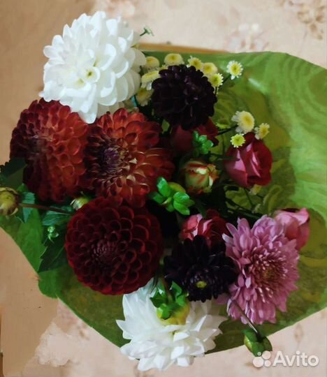 Сезонные цветы