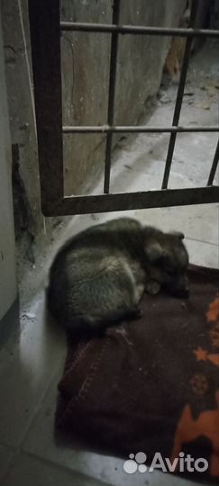 Помогите малышу