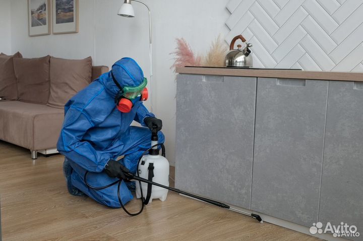 Обработка от насекомых холодным туманом