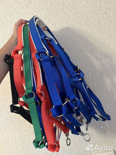 Недоуздок для лошади и пони