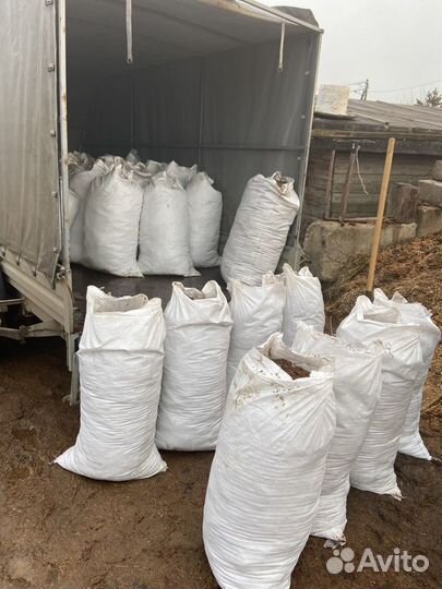 Конский навоз