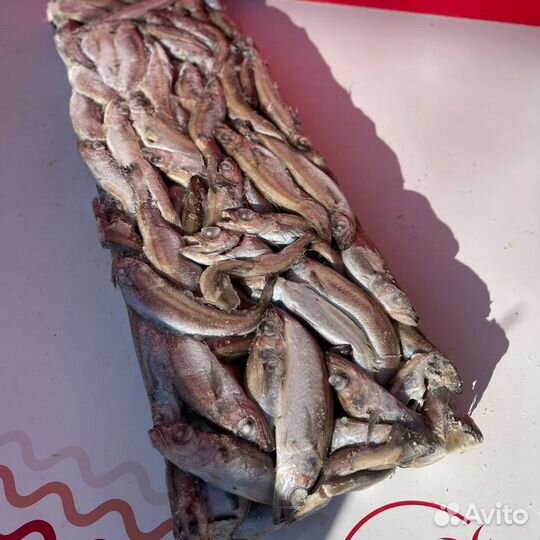 Путассу. Бесплатная доставка