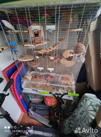 Большая клетка для животных и птиц Vision 2