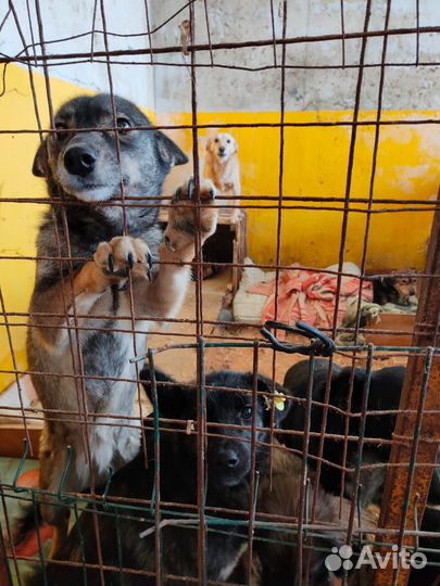 Маленькое чудо