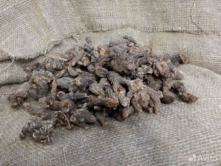 Корень калгана