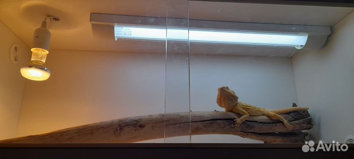 Террариум 90*45*40