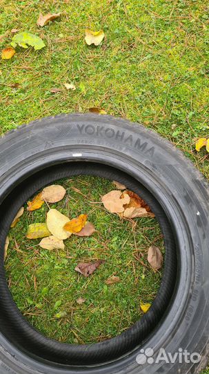 Yokohama Ice Guard IG50+ 205/55 R16 91Q