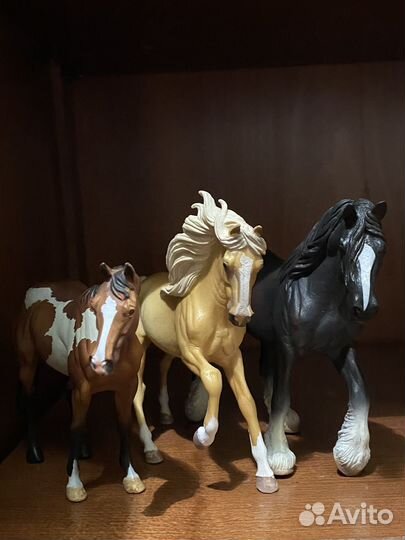 Лошади collecta