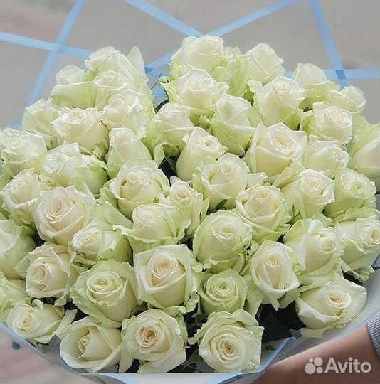 Розы Высокие 150см 160см 170см 180см 190см 2м