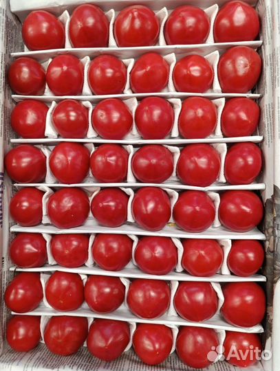 Помидоры свежие