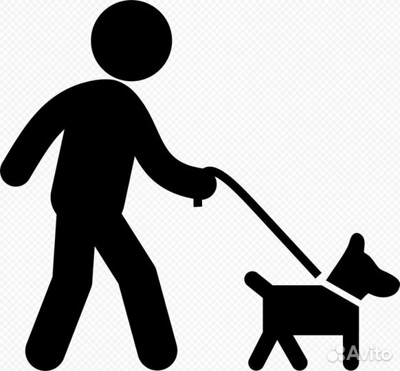 Ищу выгульщика собаки