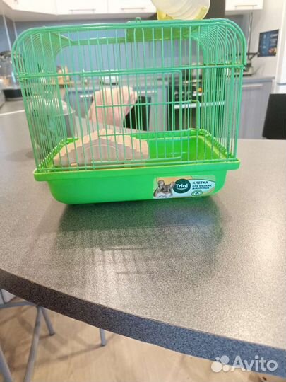 Клетка для грызунов