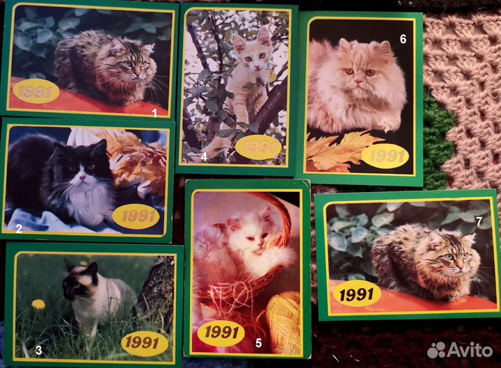 Календарики: кошки,собаки