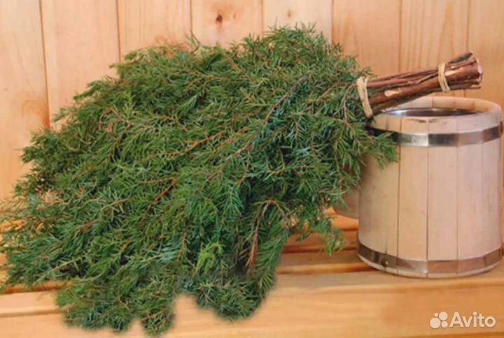 Веники можжевельник