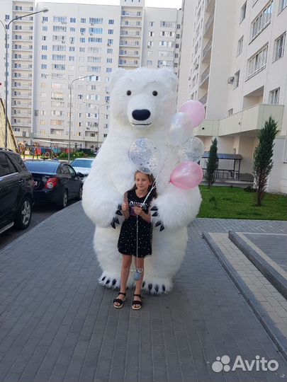 Белый медведь, Тедди на праздник