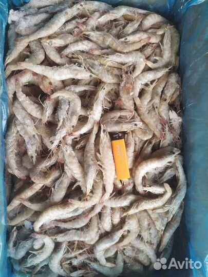 Морепродукты