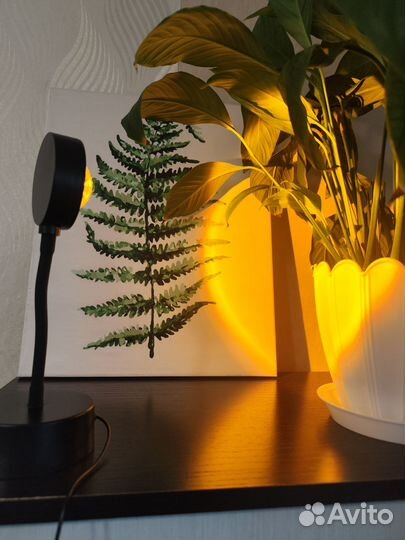 Закатная лампа