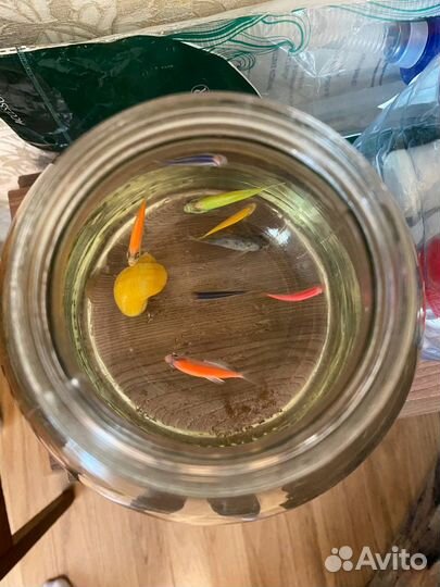 Аквариум с рыбками