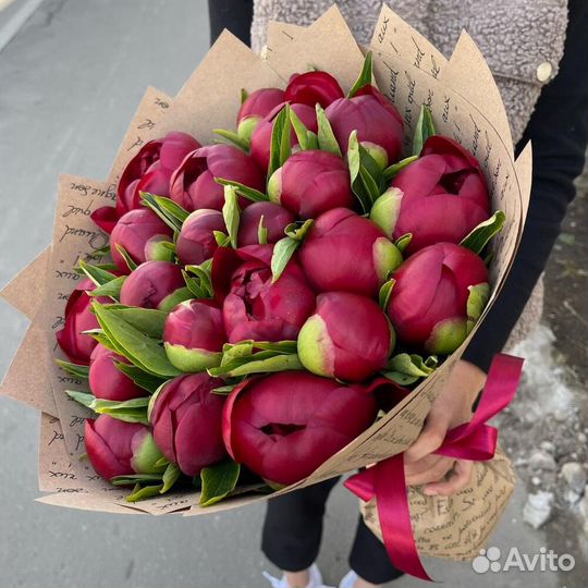 Пион Пионы Розы Москва 51 Пион Пионы