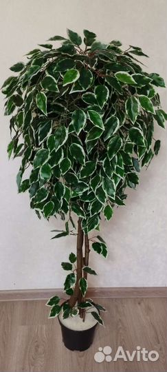 Фикус искусственный в ассортименте