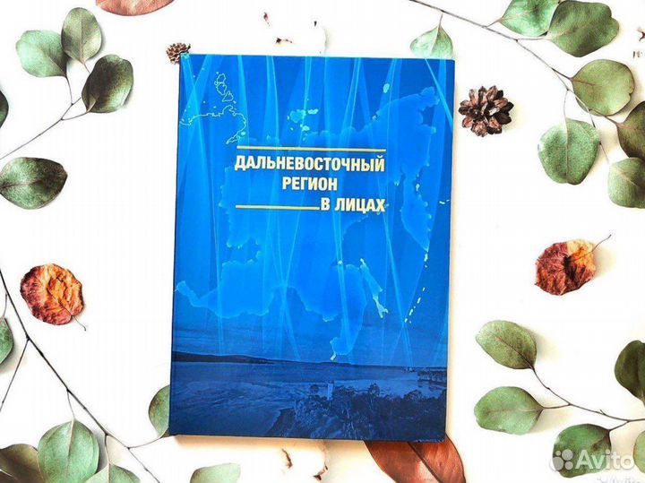 Книга - альбом Дальневосточный регион в лицах