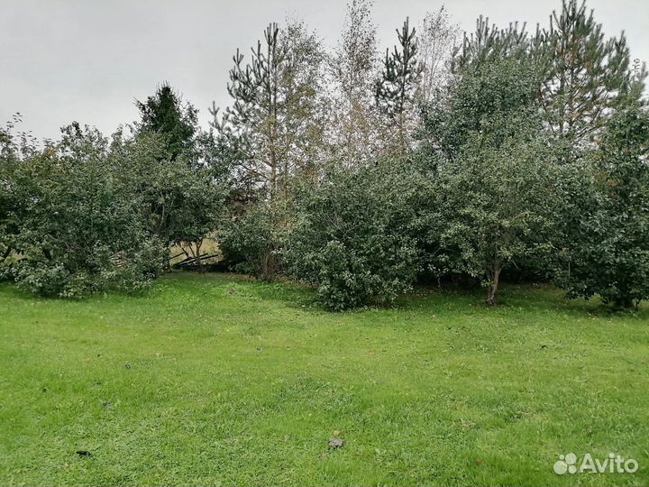 Недвижимость