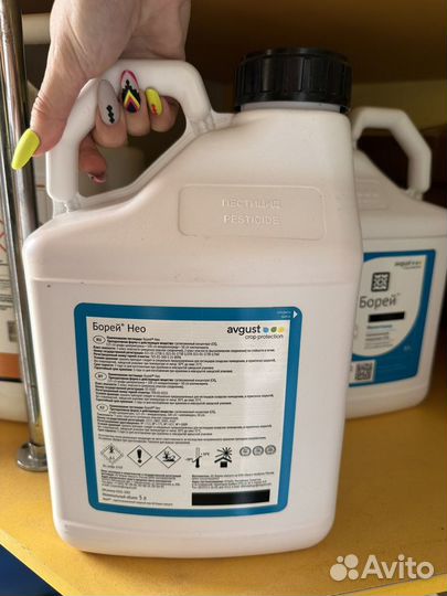 Борей Нео, ск