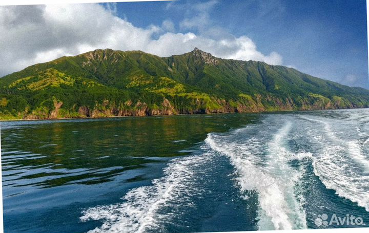 Сахалин летом путевка экскурсия до 8 дн