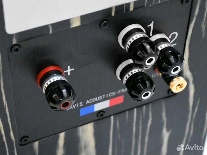 Напольная акустика Davis Acoustics MV One Master B