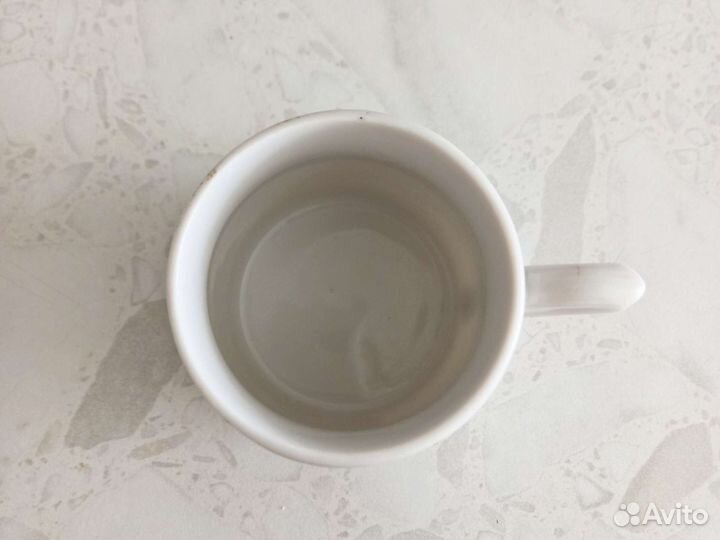 Чашка кружка Пушкин Дмитровский фарфоровый завод