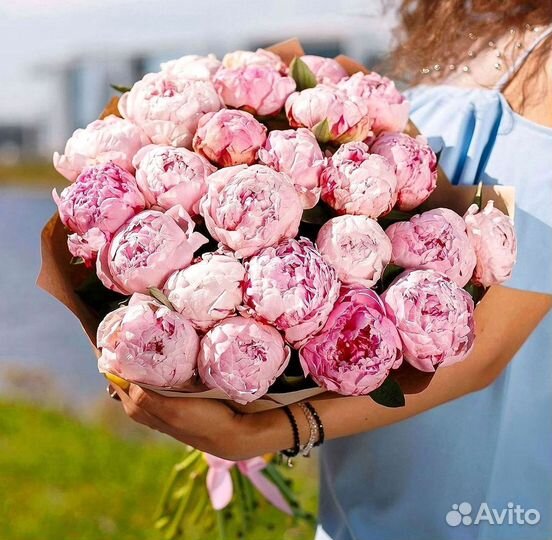 Пионы Букет пионов
