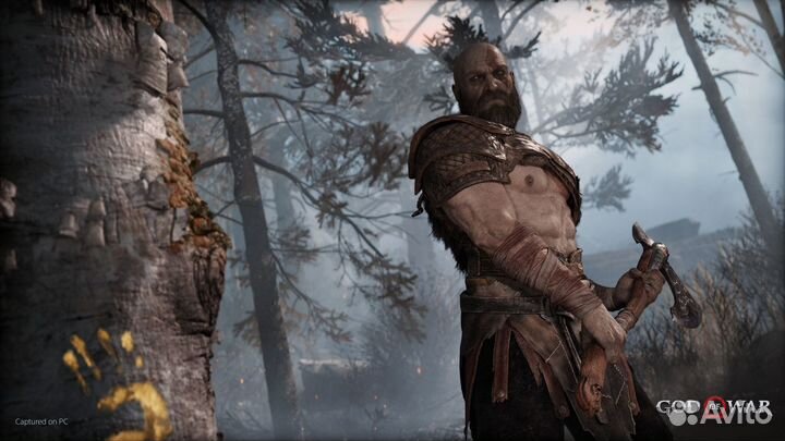 God of War (Steam)