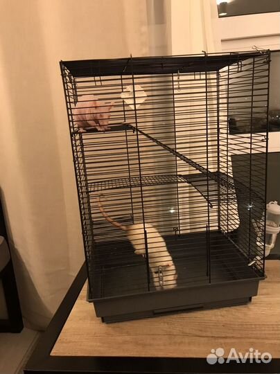 Клетка для грызунов