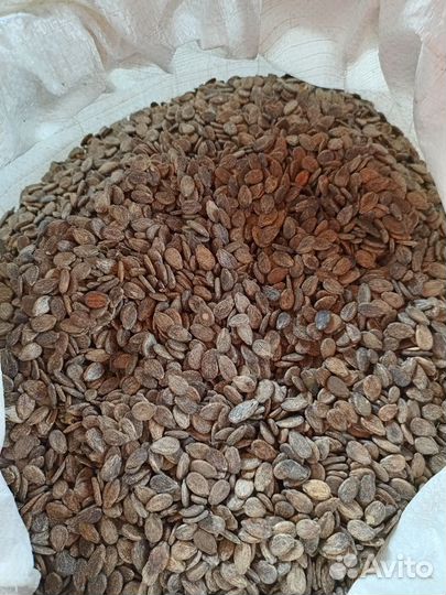 Семена Арбуза и Дыни