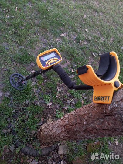 Металлоискатель garrett ace 250