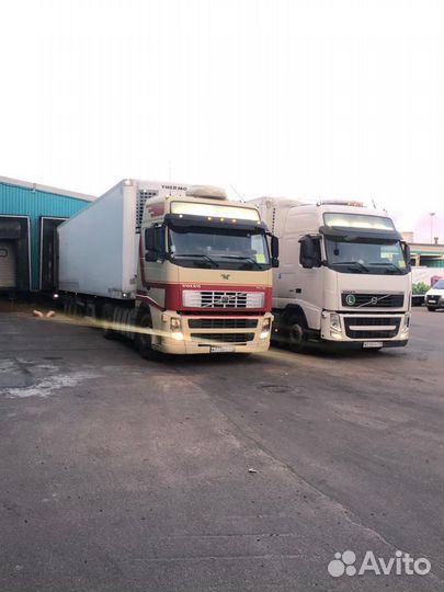 Грузоперевозки рефрижератор одиночка,фура,10т,20т