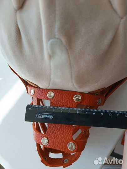 Намордник для собак