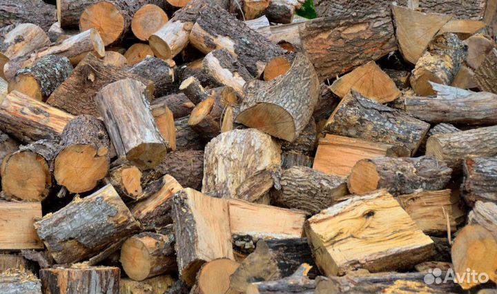 Дрова в область