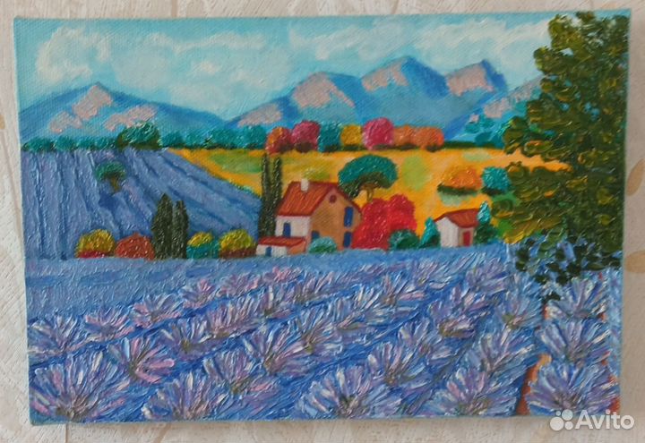 Лаванда с видом на горы.Роза в поле цветов