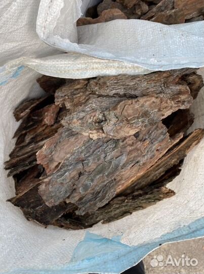 Сосновая кора