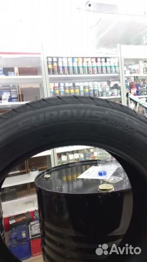 Roadstone Eurovis HP02 205/55 R16