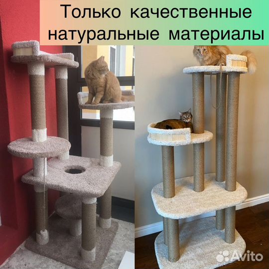 Когтеточка