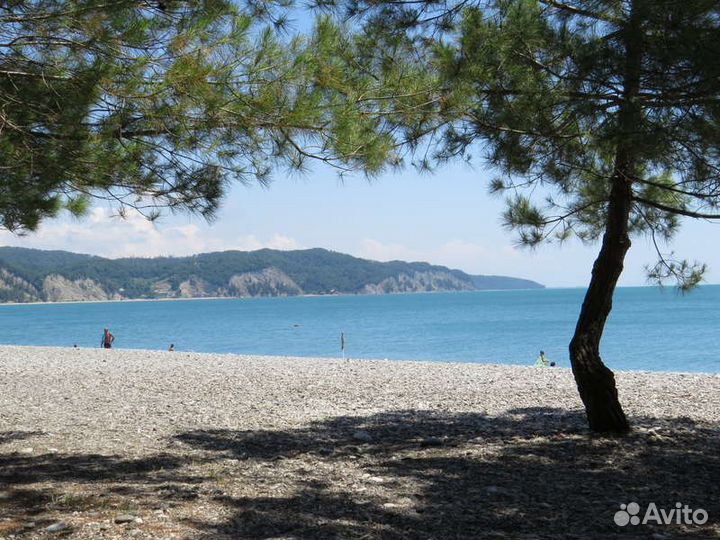 Отдых в Абхазии(Пицунда,Лидзава) комнаты посуточно