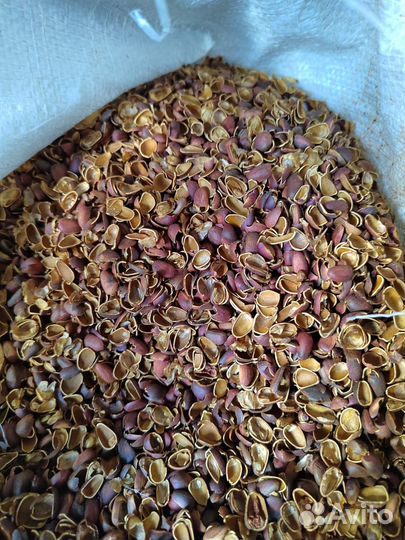 Скорлупа кедрового ореха в мешках (60 литров)