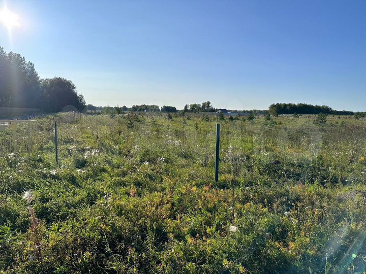 Участок 10 сот. (ИЖС)